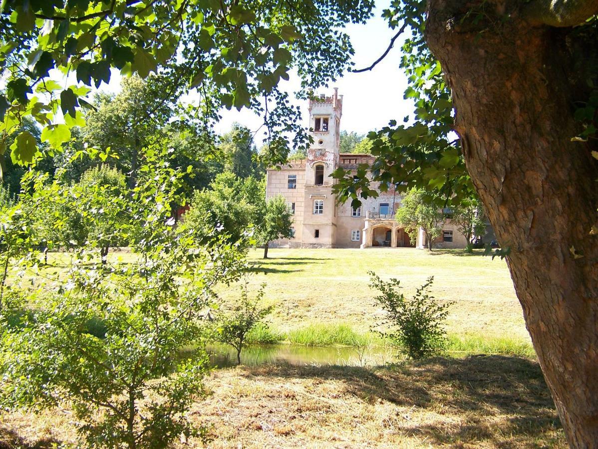 Palac Dabrowica Dabrowica  المظهر الخارجي الصورة